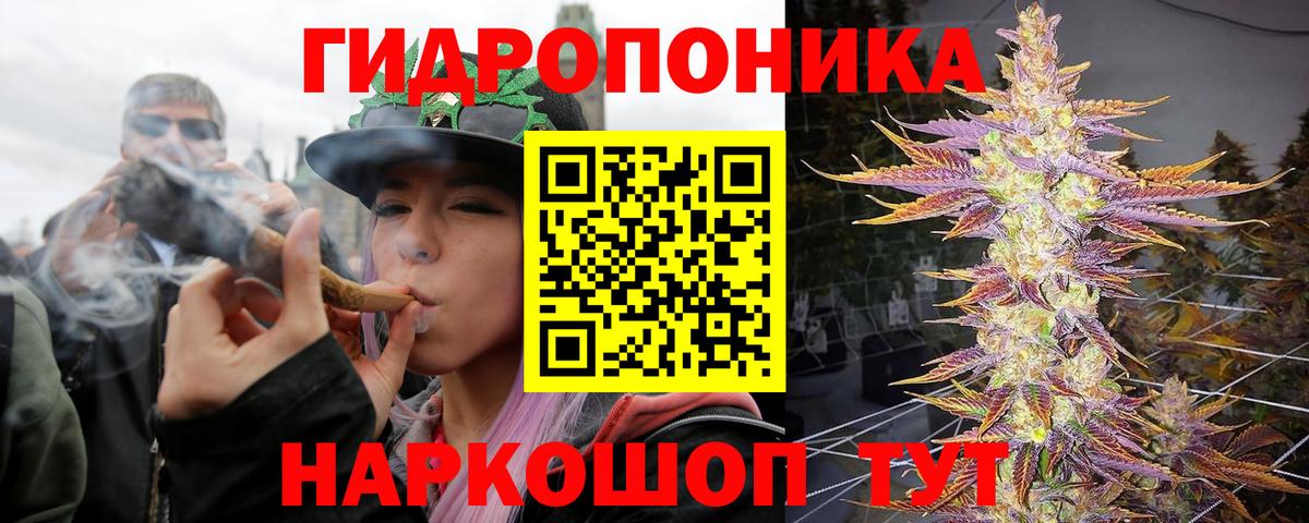 Шишки марихуана семена Усть-Илимск